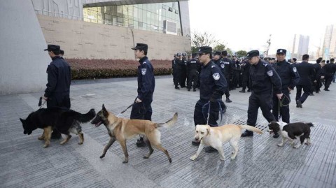 总决赛战前风云：警犬特警齐上阵，安保防线铸就钢铁赛场
