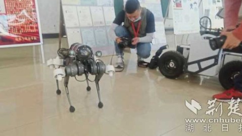 帕丘卡1-1老虎大学：控球劣势下顽强逼平强敌