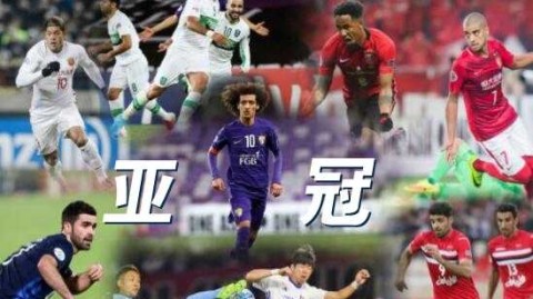 收到你的任务了。在开始写作前，我需要先和你确认一个信息：