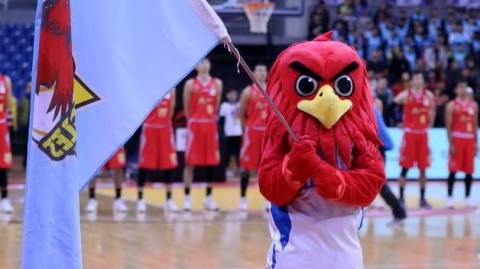 光影之外的舞者：青岛啦啦队与她们的CBA赛场故事