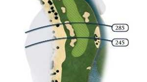 沙漠绿洲上的竞技盛典：阿布扎比赛马锦标赛