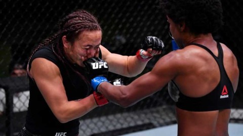 标题：黑色野兽折戟拉斯维加斯，刘易斯UFC 324遭TKO吞开门黑（29字）