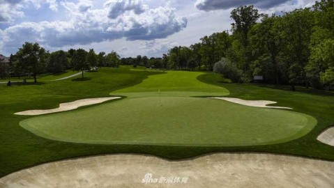 碧绿战场上的策略博弈与自然画卷