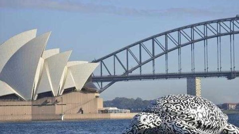 贵州主场1-2遭西悉尼逆转，新帅首秀开门黑