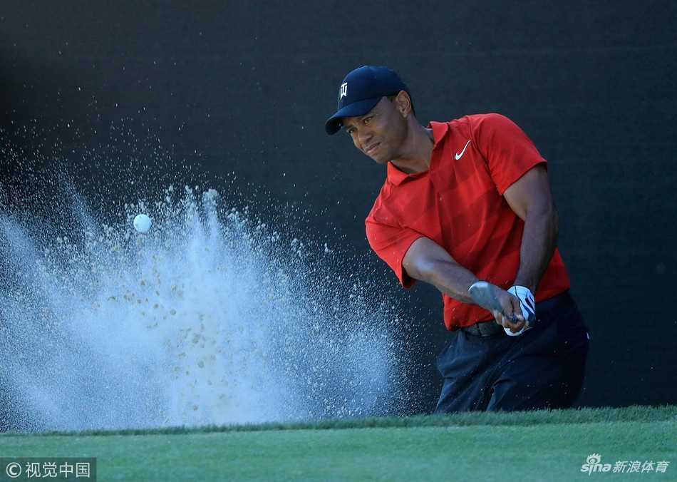 老虎伍兹在果岭边沙坑全神贯注准备击球，他的眼神锐利如初，身体姿态充满张力，仿佛下一秒小白球就将听话地飞向旗杆。