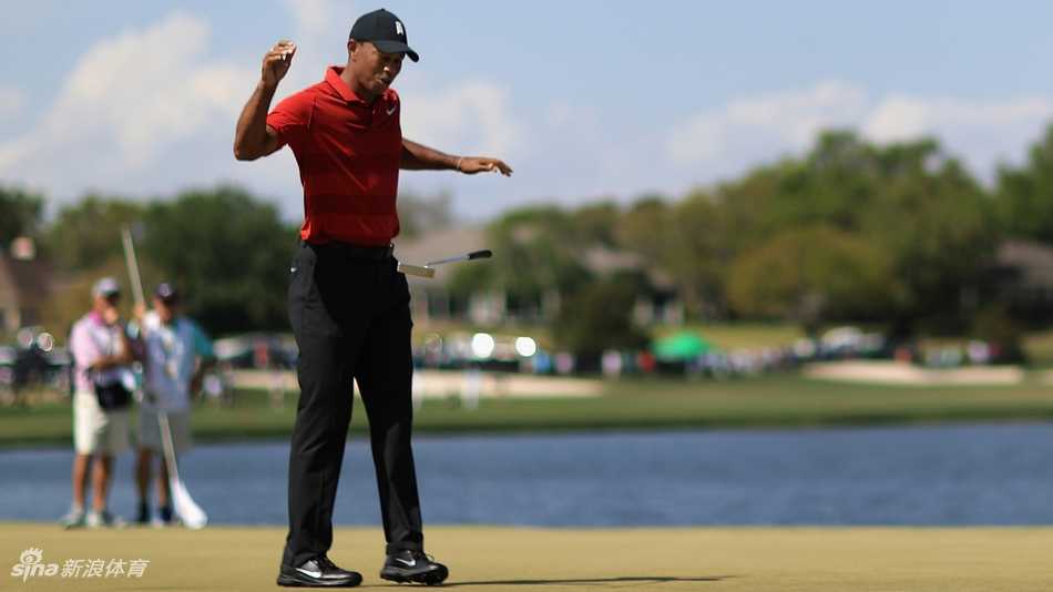 老虎伍兹在球道上使用铁杆开球，他的击球准备姿势沉稳如山，目光聚焦于远方目标，展现对球的绝对控制力。