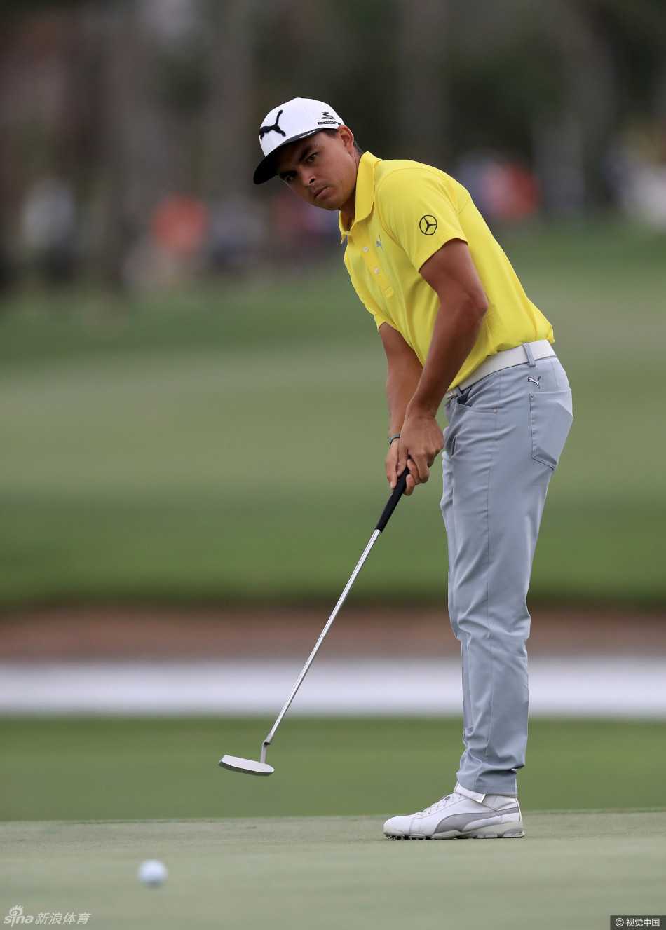 里奇·福勒全神贯注进行推杆练习，他俯身审视果岭线路，手中的推杆即将触球，周围绿草如茵。