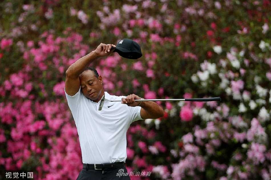 伍兹与球童乔·拉卡瓦在果岭边仔细研究推杆线路，两人神情严肃，突显大赛前的严谨准备。