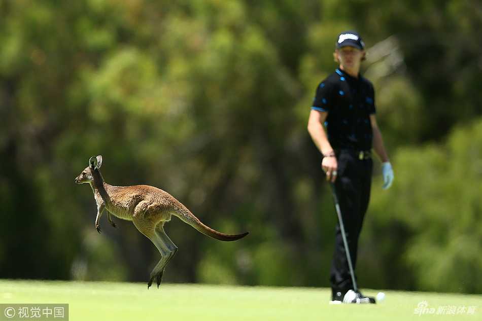 佳瑞浦湖乡村俱乐部绿意盎然的球道与湛蓝湖水相映成趣，球员在此间挑战独特的六洞赛制。