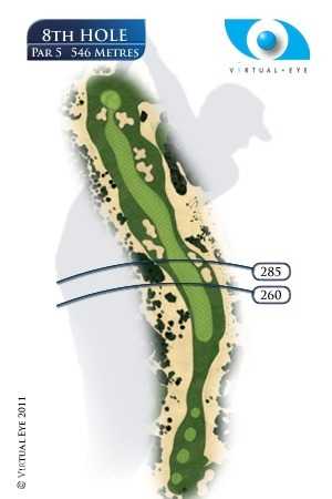 骑师与赛马在最后直道上并肩飞驰，肌肉绷紧，尘土飞扬，胜负仅在毫厘之间的激烈瞬间。