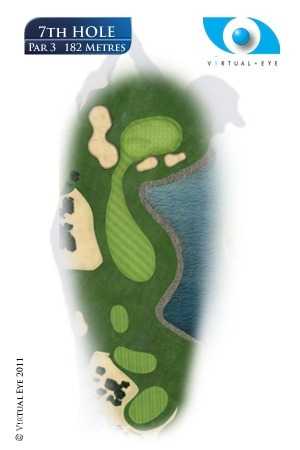 观众看台上座无虚席，不同国籍的粉丝挥舞旗帜，为赛马加油，气氛热烈如沙漠中的热浪。