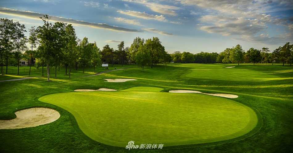 果岭上，球手俯身仔细观察草纹与坡度，推杆的瞬间凝聚了所有的专注与技巧。