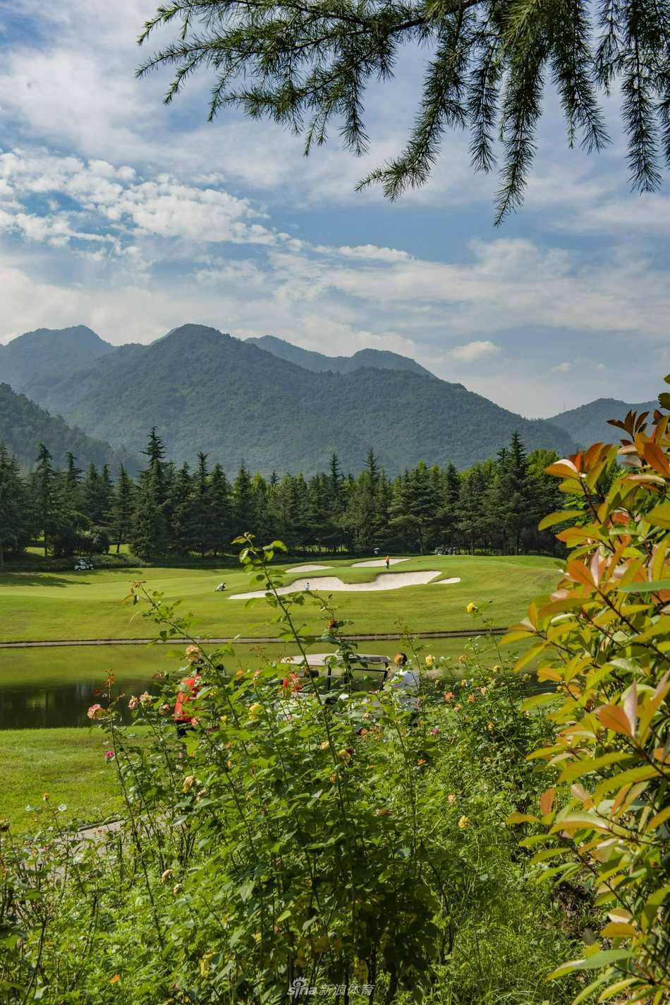 秦岭山下挥杆逐梦 全运赛场群英荟萃 球手在果岭边进行精细的切杆,表情专注,背景是经典的球场风光与养护良好的草坪。