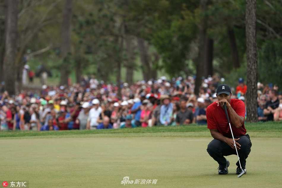 决赛轮比赛全景，球员穿梭于橡树与湖泊之间，铜斑蛇球场的独特地貌与大赛的紧张氛围尽收眼底。