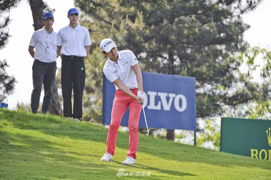 绿茵场与硬木地板的交响:体育世界里的瞬间永恒 高尔夫球手在翠绿果岭上优雅挥杆,白色小球在空中划出完美抛物线,背景是静谧的湖泊与远山。