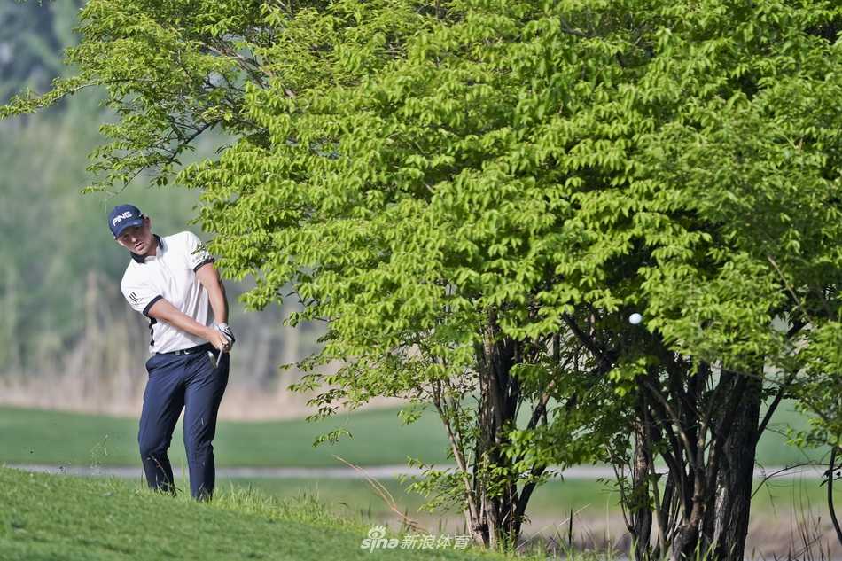 绿茵场与硬木地板的交响:体育世界里的瞬间永恒 选手在全神贯注地观察果岭推杆线路,目光如炬,周围观众屏息凝神,气氛紧张而肃穆。