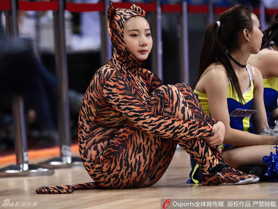 CBA赛场上的百变精灵 拉拉队宝贝热舞瞬间 一位身穿狂野豹纹套装的长发啦啦队员,正随着动感音乐扭动身体,眼神自信地看向镜头,展现出迷人的赛场风采。