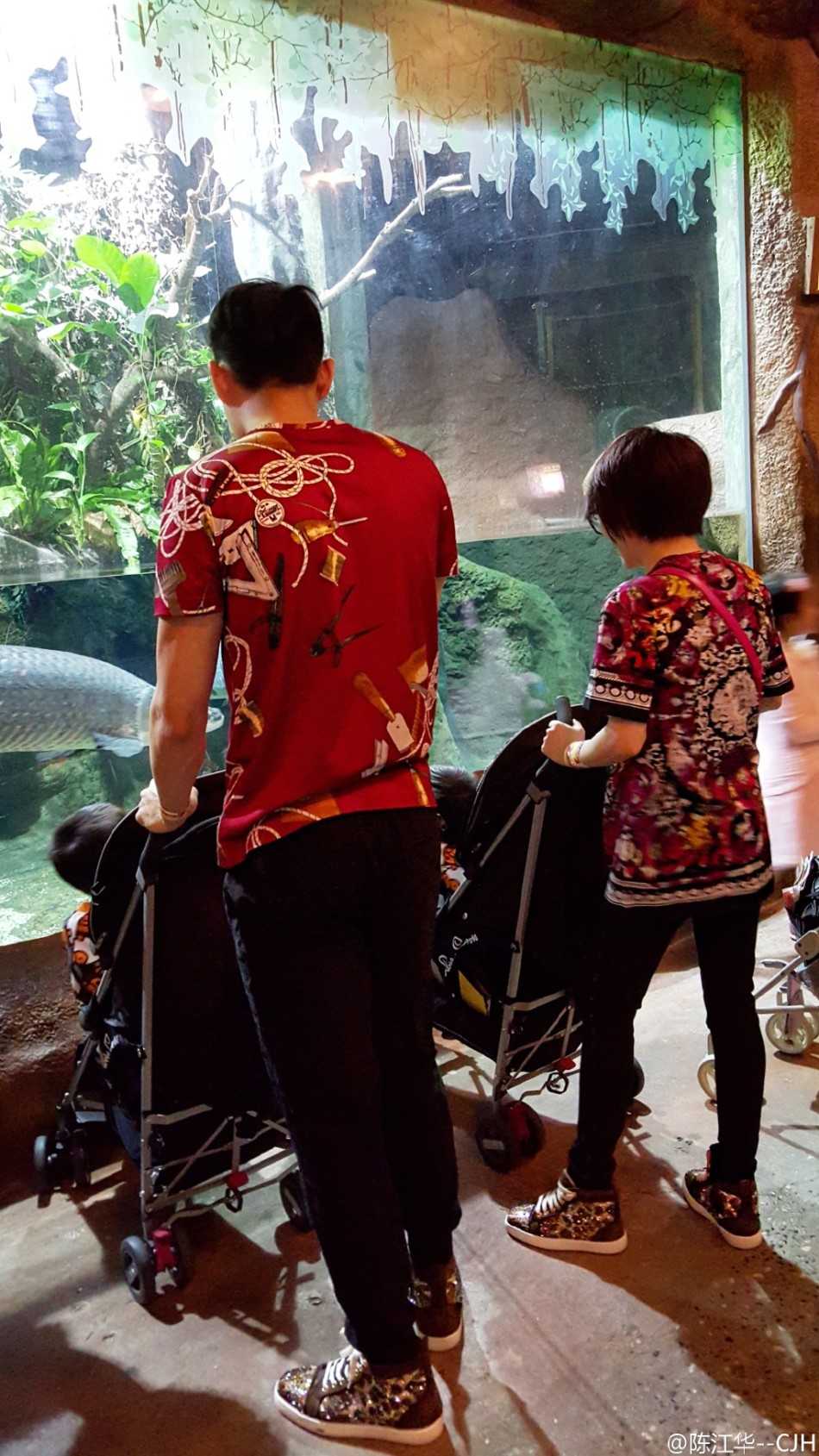 两个帅气的小家伙穿着同样的兄弟装，在户外奔跑嬉戏，陈江华则在身后稳稳地跟着，目光始终温柔地锁定在孩子们身上，守护着这份纯真的快乐。