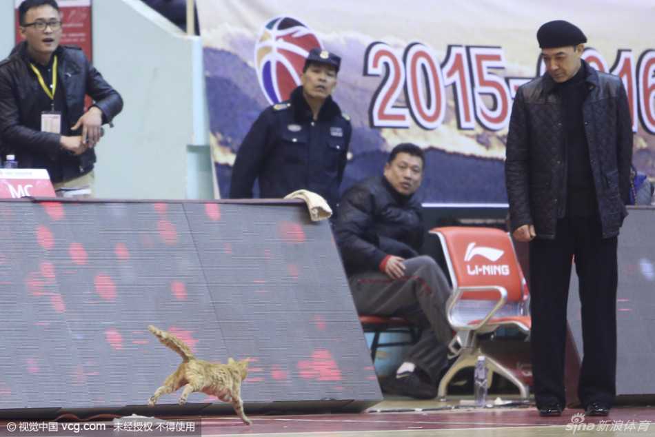 阿的江指导原本严肃的脸庞瞬间被这只小精灵逗乐，他眼神温柔地注视着这位球场上的闯入者，铁帅形象一秒破功，满是宠溺。