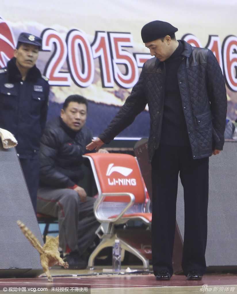 一番撒欢后，玩累了的喵星人似乎有了离意，它悠然转身，留给众人一个潇洒的背影，仿佛在说：此处虽好，却非吾乡。