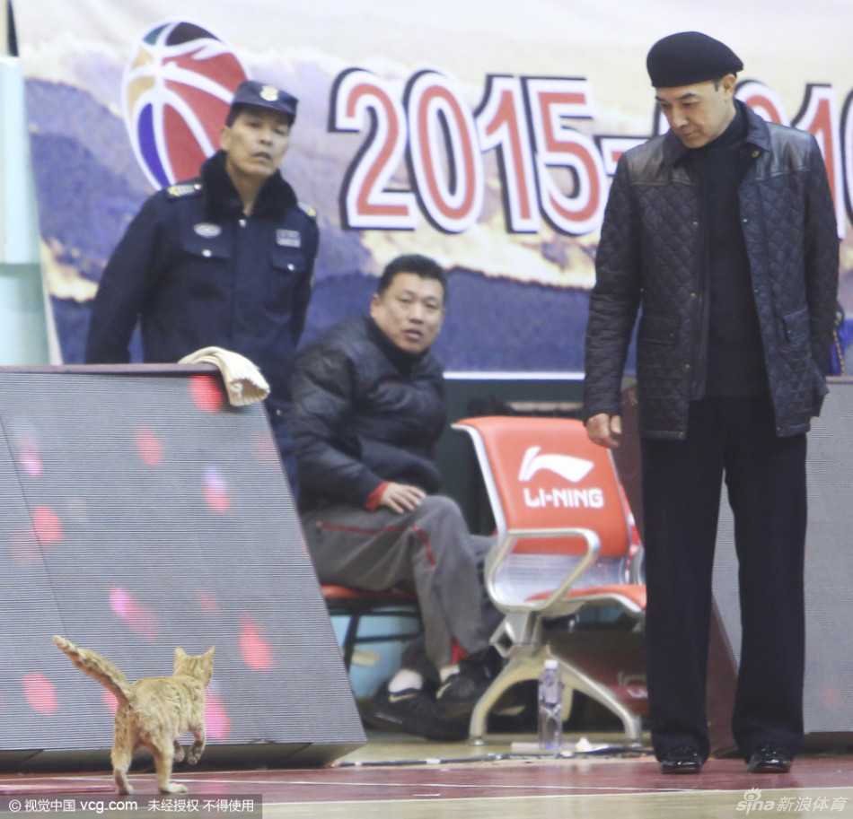 小家伙大摇大摆地踱步进场，对满场高大球员视若无睹，仿佛在巡视自己的领地，憨态可掬的模样瞬间成为全场焦点。