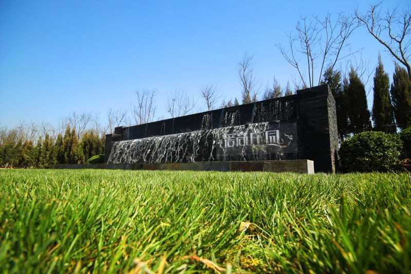 透过摇曳的花丛远眺庄园内的建筑，人与自然和谐共处的美好景象在此刻定格。