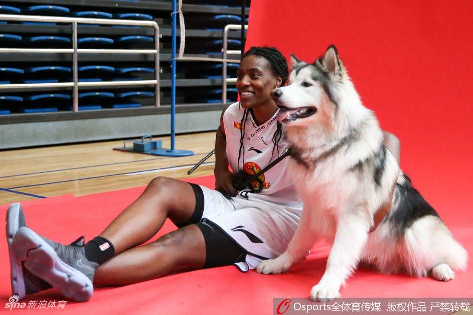 金兰携瑞犬,京城展英姿:北京女篮新春写真定格柔情与霸气 杨半伴与拉布拉多犬亲昵互动,狗狗吐舌卖萌,姑娘开怀大笑,这一刻的快乐简单而纯粹。