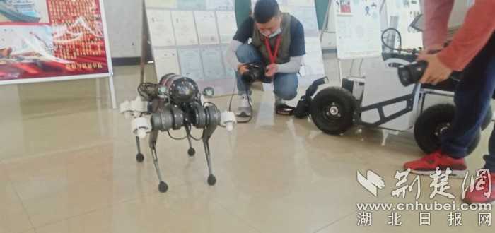 帕丘卡1-1老虎大学:控球劣势下顽强逼平强敌 帕丘卡1-1老虎大学:控球劣势下顽强逼平强敌