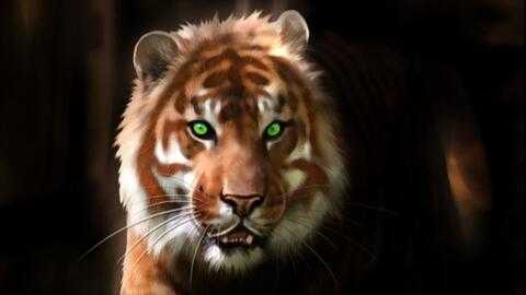 蒂华纳1-0终结老虎大学连胜，主场首胜搅动墨超格局